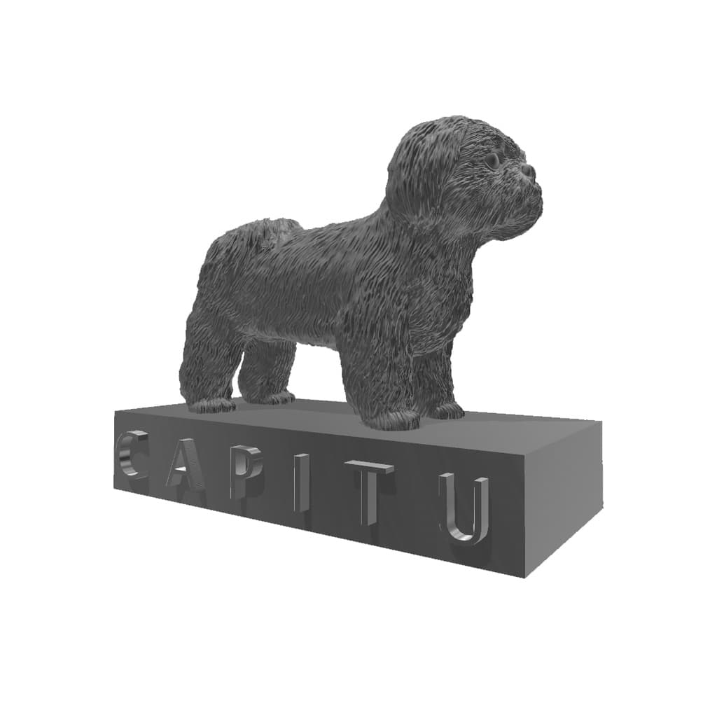 Filhote Shitzu Nome Personalizado Decoração 3D
