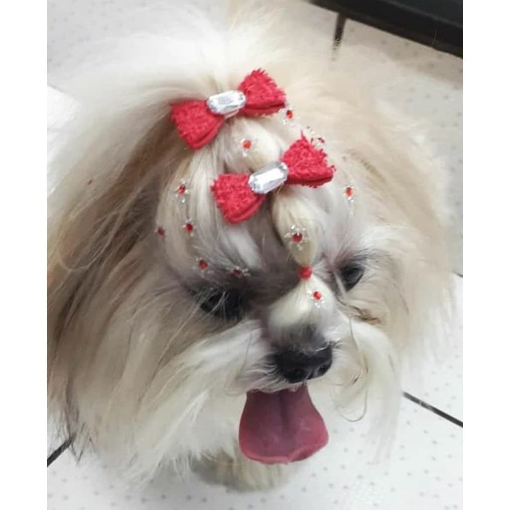 Lacinhos Pet 2 LAÇOS, 4 LAÇOS OU 8 LAÇOS Cães Cachorro Gato Laço Banho Tosa Médio M