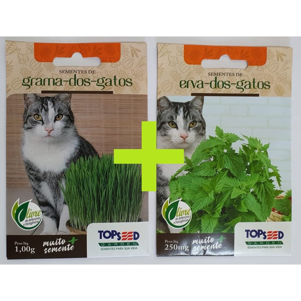 Kit de Sementes de Catnips e Grama dos Gatos - 1000 sementes e de Cada