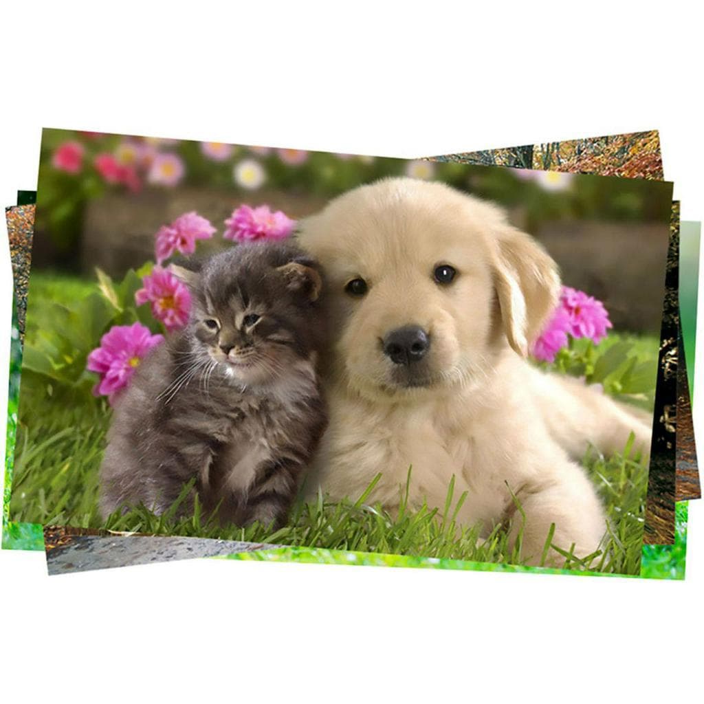 20 folhas de Papel Adesivo Matte Fotográfico 108g A4 Branco Fosco