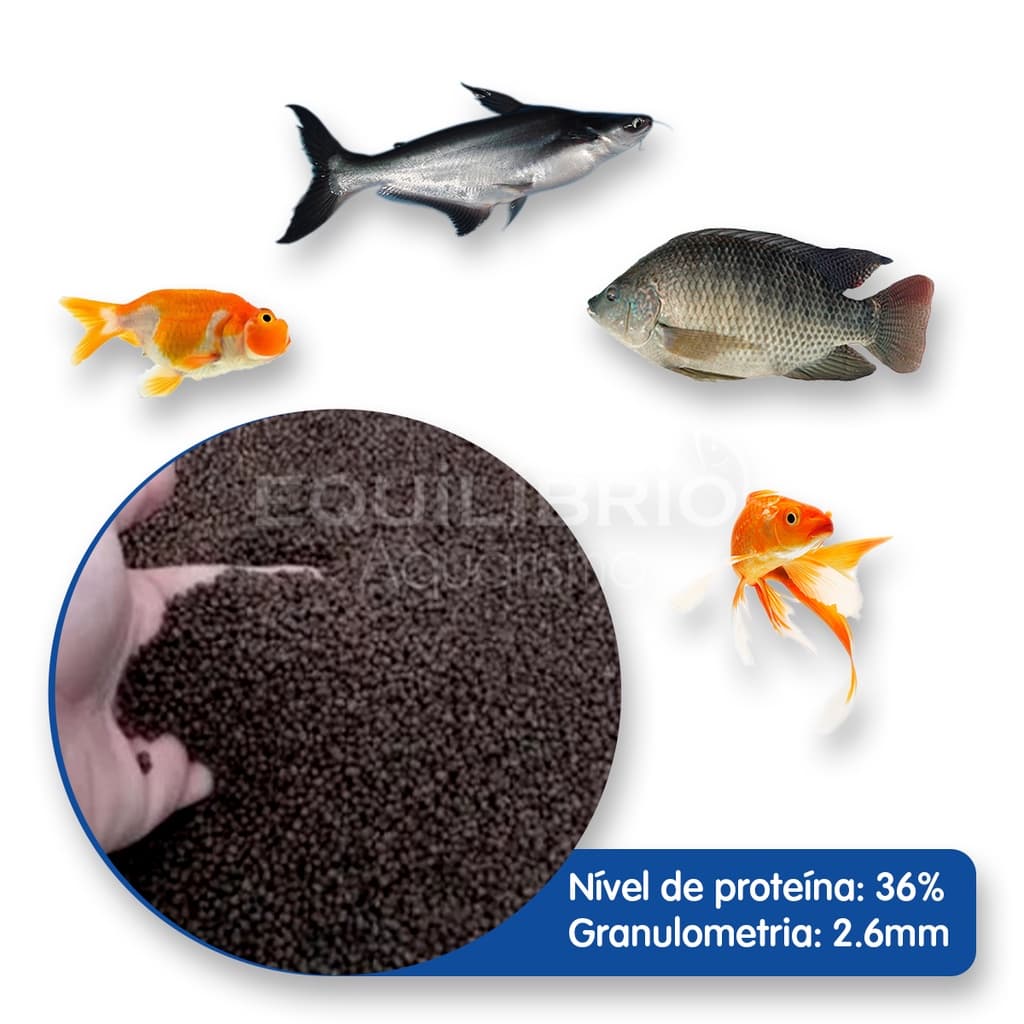 Ração Para Carpas, Kinguios, Tilápias E Outros - 500g