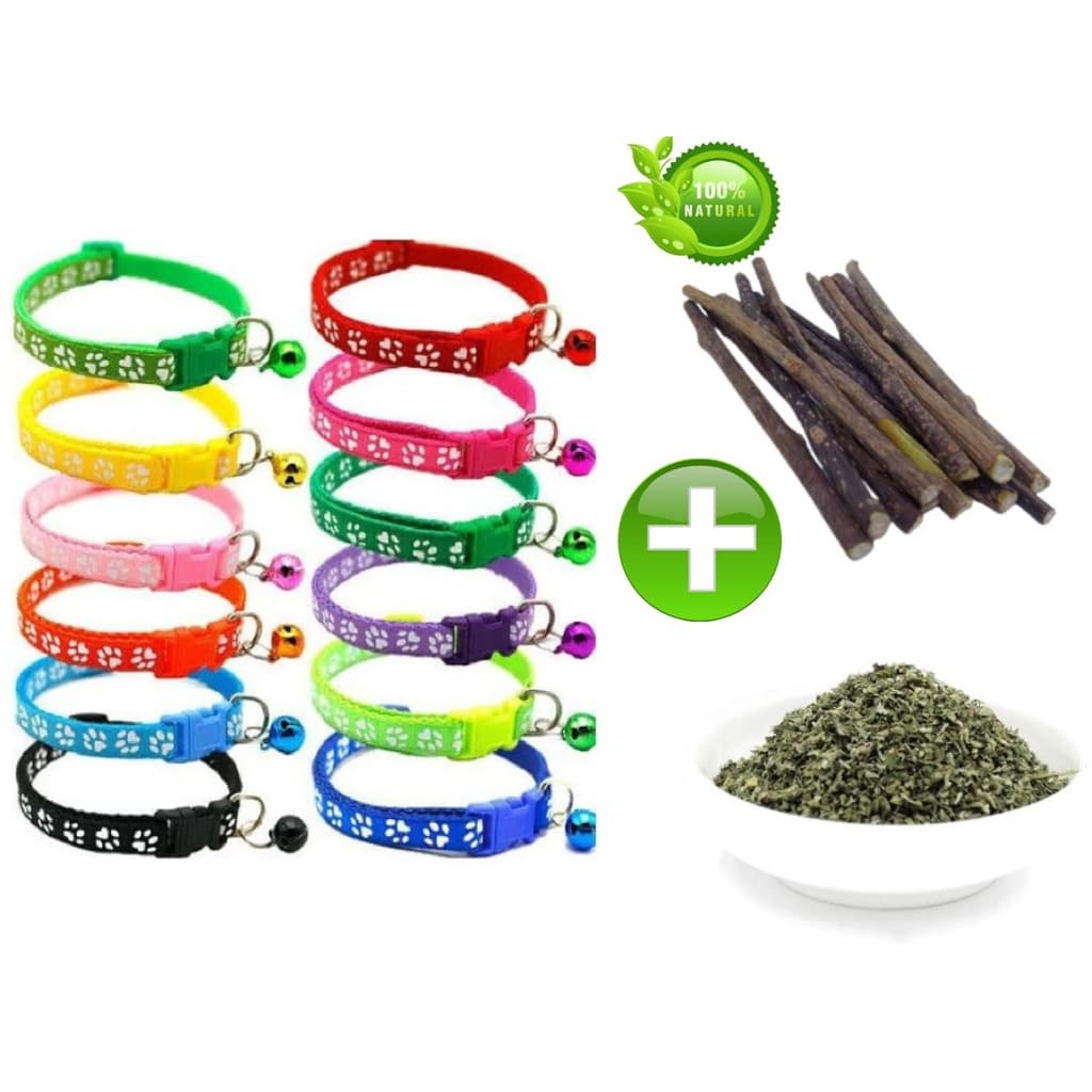 Kit Gatinho Feliz 1 Coleira 10 Gravetos de Matatabi 10 Gramas de Catnip