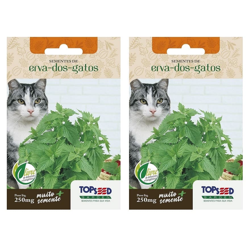 2X Sementes Erva Dos Gatos (Nepeta Cataria) Catnip TOPSEED