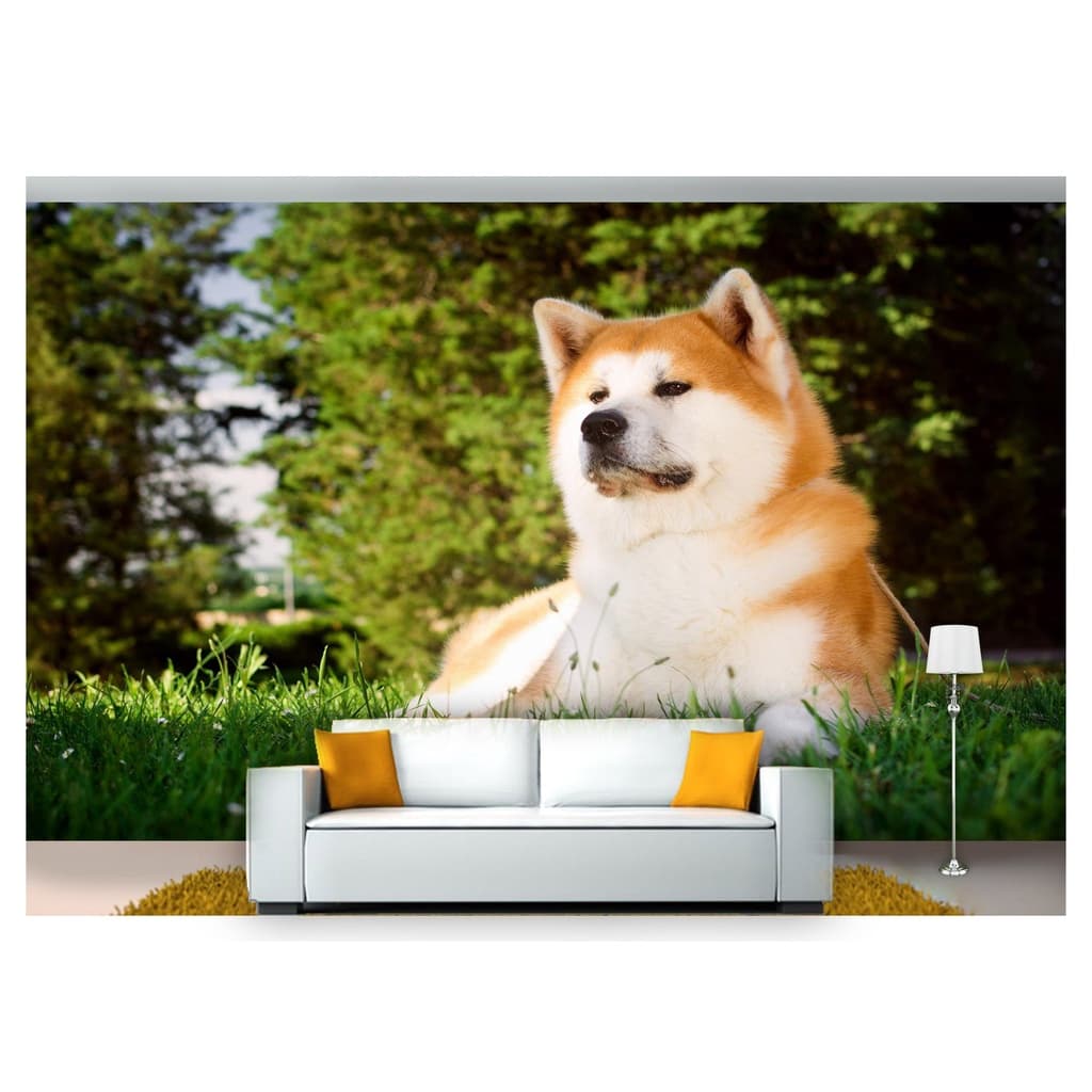 papel de parede Animais cachorro grama 3D m² ANM253
