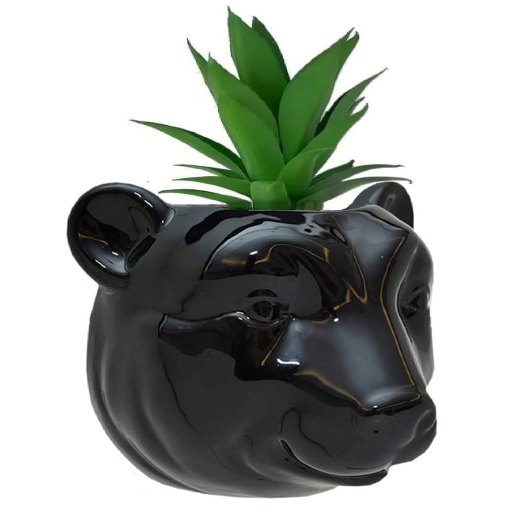 Vaso De Parede Cachepot Urso P/ Plantas Suculentas Cactus