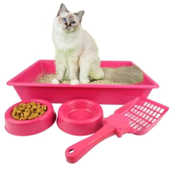Caixa De Areia Para Gatos Kit Completo Com Brinquedo Comedouro Pá Bebedouro + BRINDE