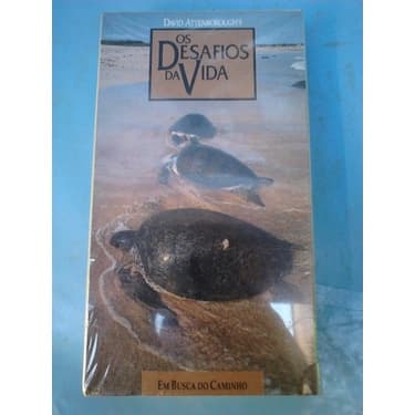 VhsOs Desafios Da Vida Em Busca Do Caminho original