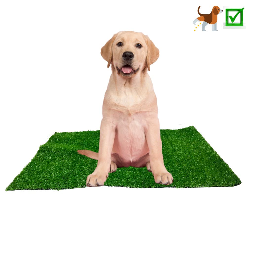 Tapete Higiênico Cachorro Urinar Refil Xixi Grama Lavável
