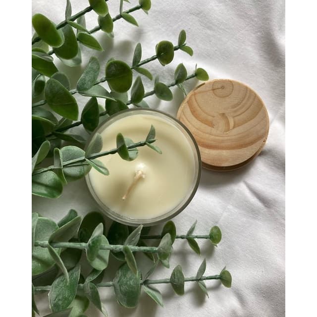 Vela Aromática para Ambientes Vegetal