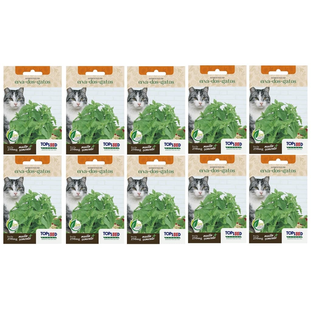 10X Sementes Erva Dos Gatos (Nepeta Cataria) Catnip TOPSEED