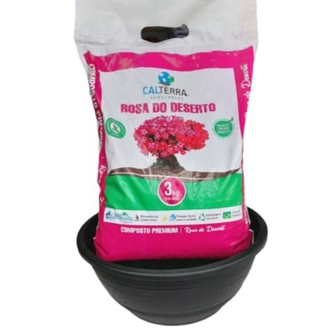 kit p/ rosa do deserto, vaso preto G 31cm, 6,6L mais 3 quilos substrato Premium