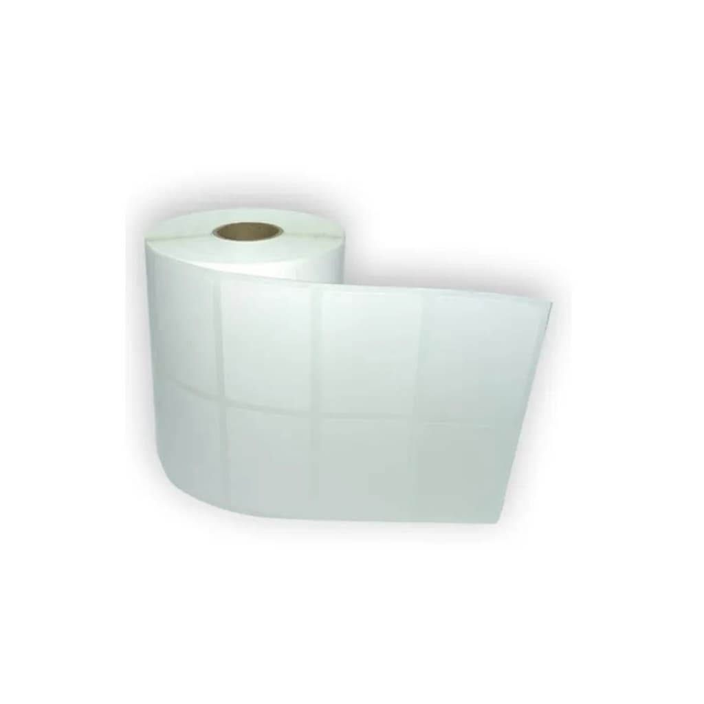 Kit 10 Rolos Etiqueta Couche 50x30 (mm) 2 Colunas