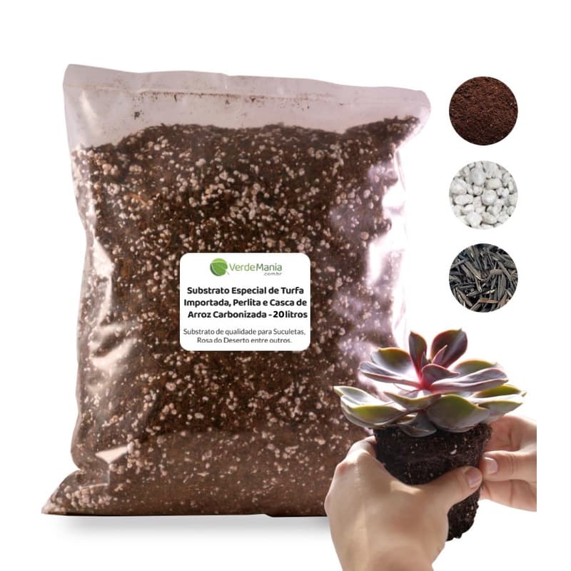 Substrato Especial de Turfa Importada, Perlita, Casca de Arroz - Suculentas - 20 L