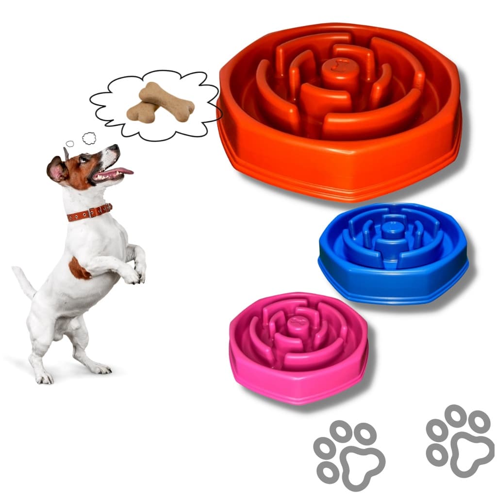 Comedouro Cães lento educador Interativo Foodtimer