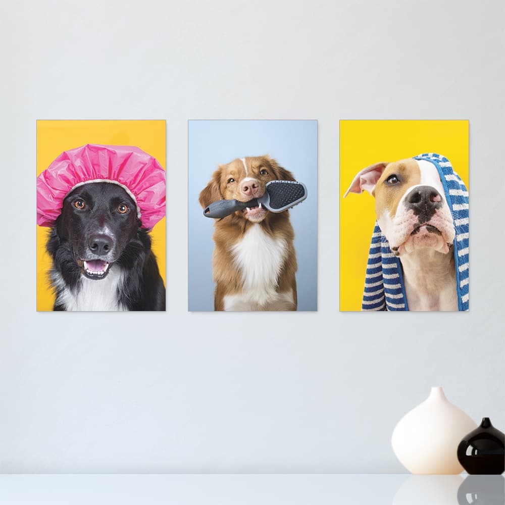 Kit 3 Quadros Decorativos Pet Shop Cachorros  Banho Placas Decorativas - 0031ktpl