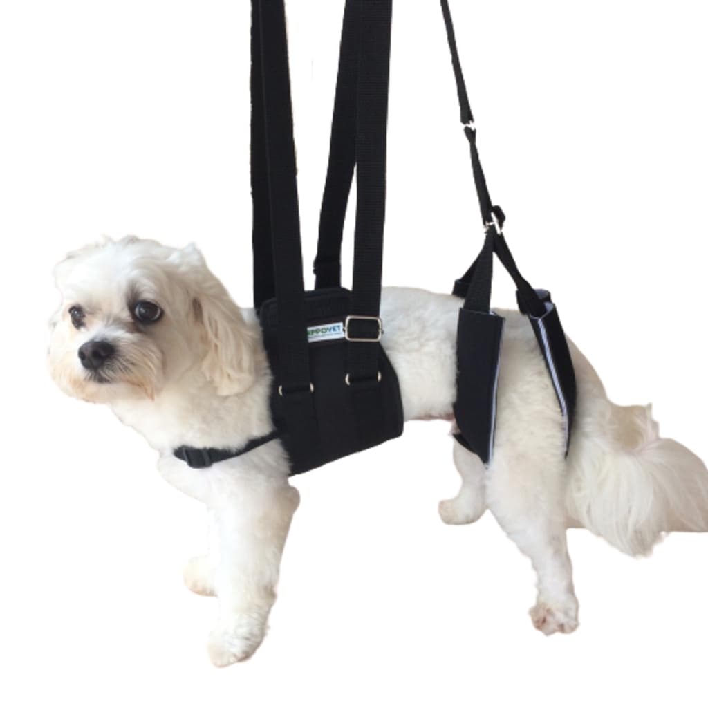 Peitoral suporte auxiliar para cachorro deficiente para andar - cor preta - Karppovet