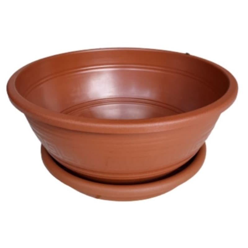 5 Vasos para rosa do deserto,  cor marron,  31cm , 6,6 litros com pratos incluso