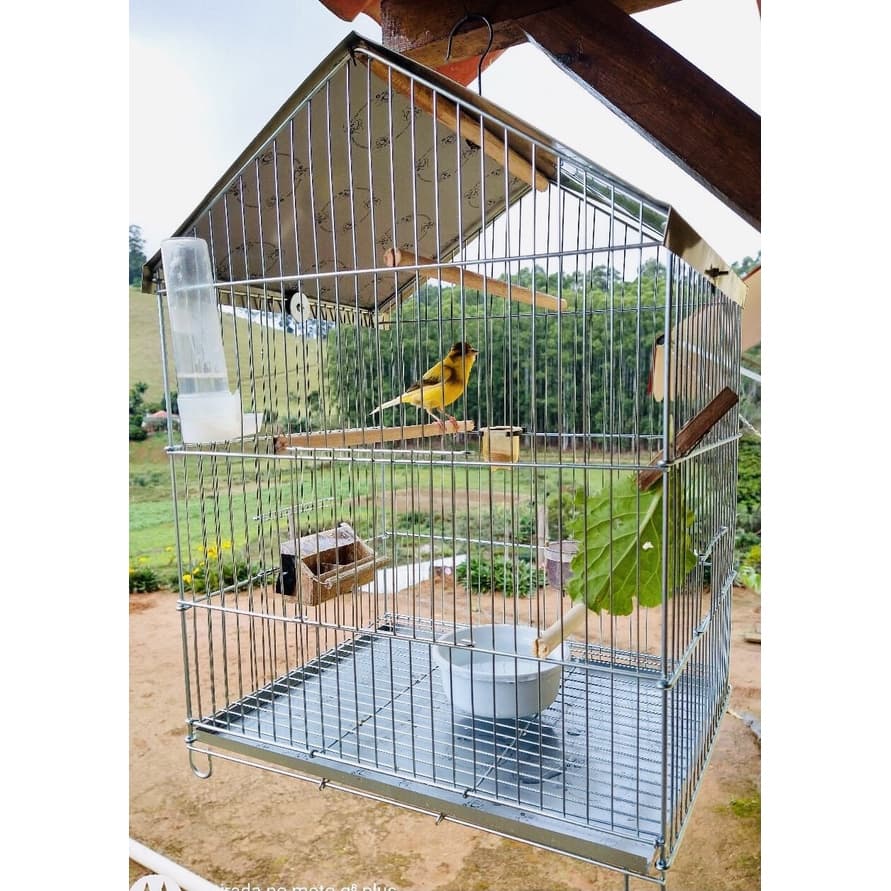 Gaiola para Calopsitas Viveiro Parede Aves Pássaros Periquito Canário