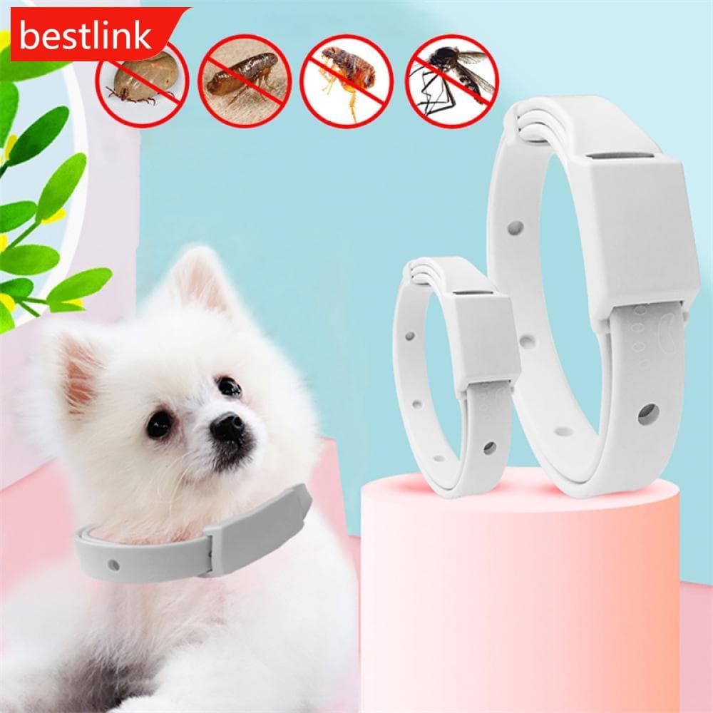15/19inch Pet Antiparasitic Collar Anti Flea Tick Mite Lice Repellent Dog Cat Collar