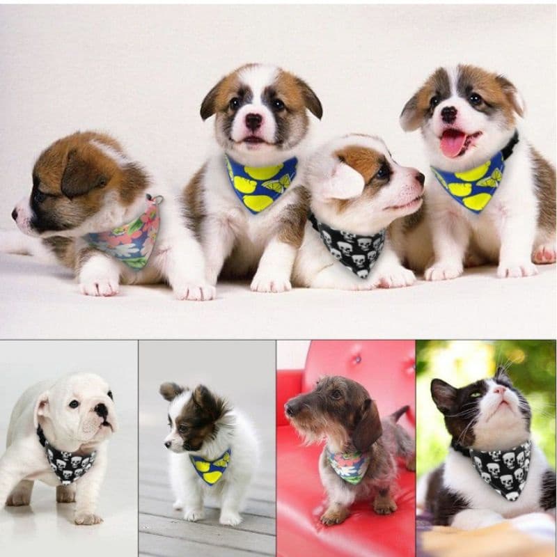 PetSphop kit 20unidades Bandana lenço de  tecido para coleira cachorro/gato