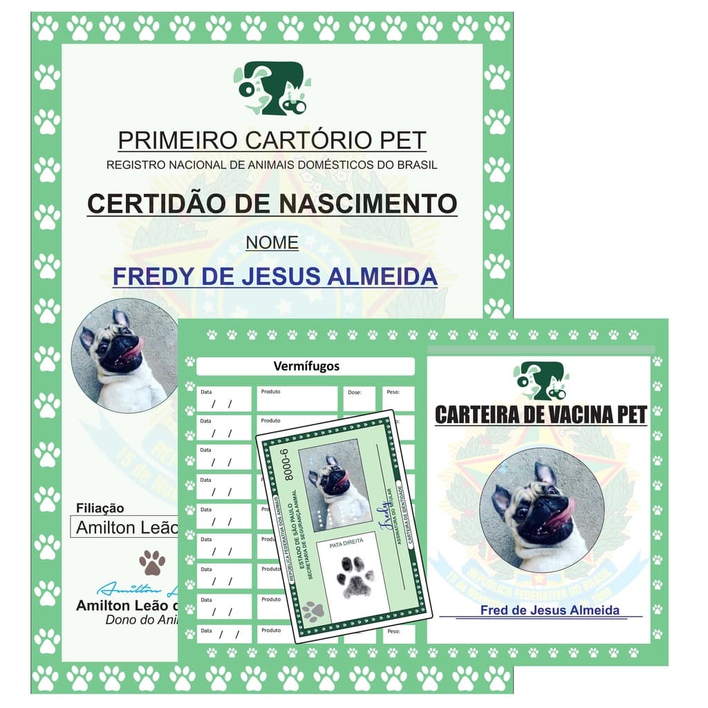 Kit Completão Pet Rg Pet Cartão De Vacina Certidão Chaveiro Placa pet e Coleira