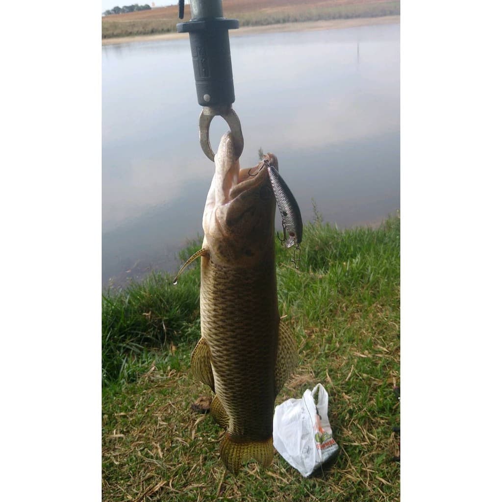 Isca Artificial Para Pesca de Meia Águas para grandes predadores,Aruanãa,Traíra,Tucunaré, Flecha