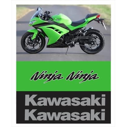 Adesivos Tanque Carenagem Kawasaki Ninja 300 Verde