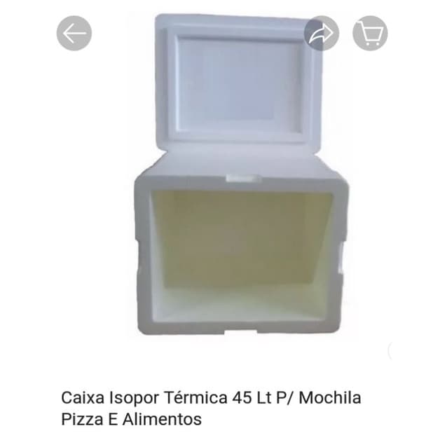 Caixa isopor 45 litros mochila pizza beg .Para lanches