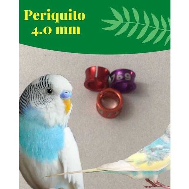 Anilhas 4.0mm fechadas para periquitos e forpus. adultos !
