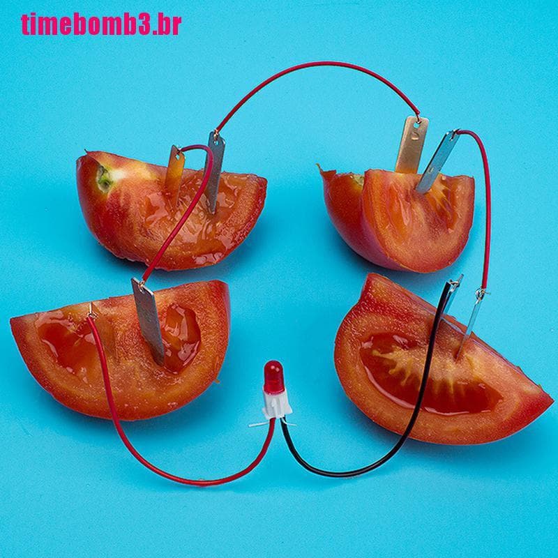 1 Conjunto Kit De Experimento Elétrico Bio Energia Para Frutas / Batatas / Experimentos
