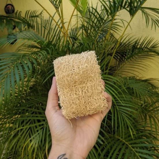 Kit Esponjas bucha vegetal natural orgânica - Tamanho grande