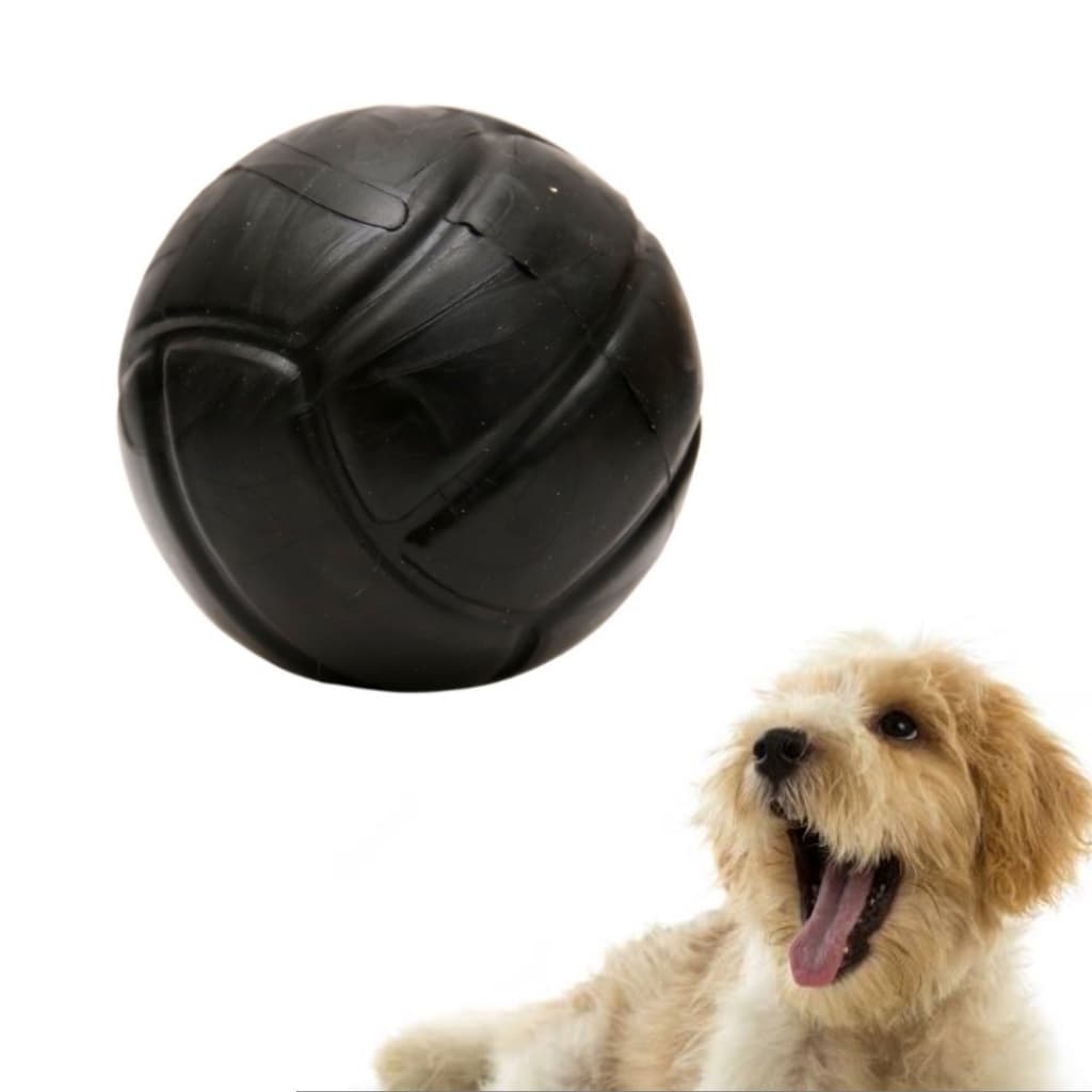 Bola Maciça Brinquedo Para Cachorro Bolinha Borracha Dura  Pet