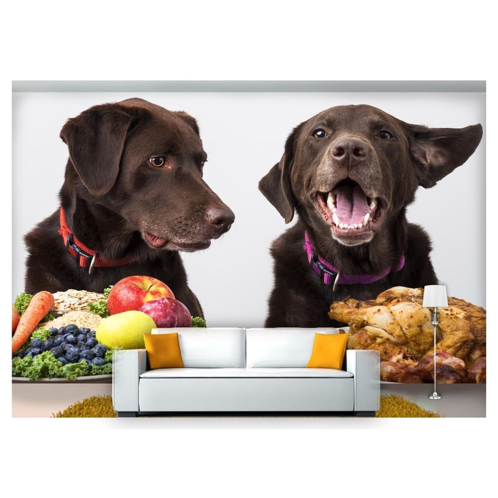 papel de parede Animais cachorros comida 3D 10m² ANM160
