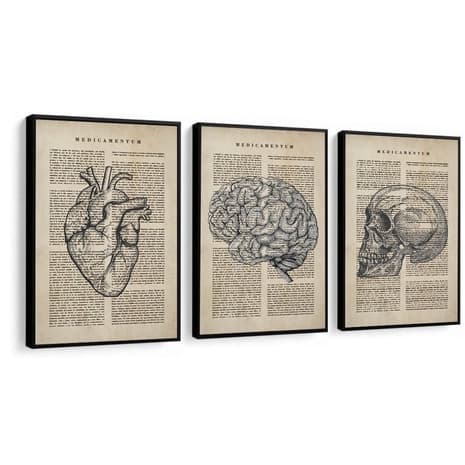 Quadro Medicina 3 peças-20x30 show-dos-quadros