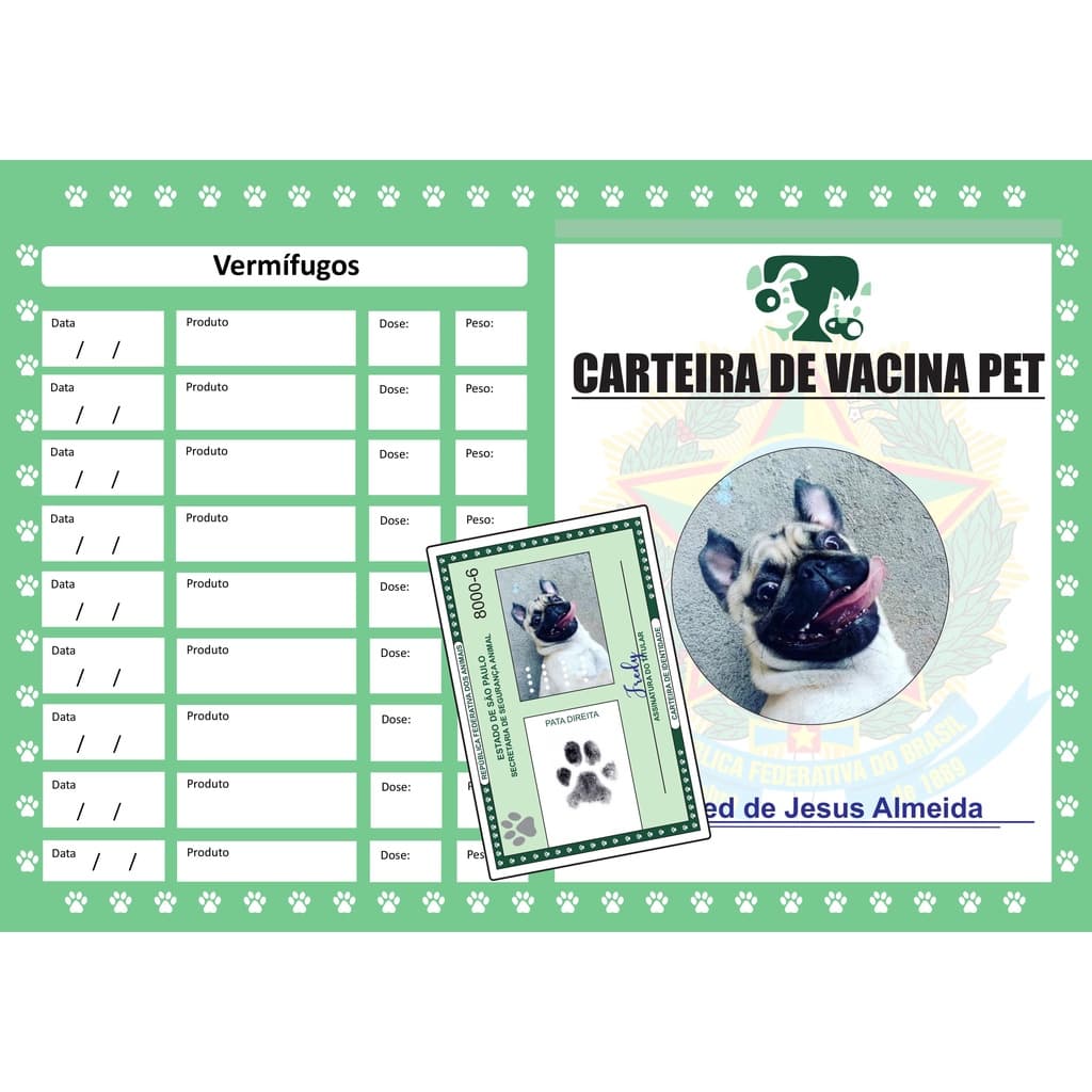 Rg Pet  Cartão Vacina Pet  e Chaveiro Pet