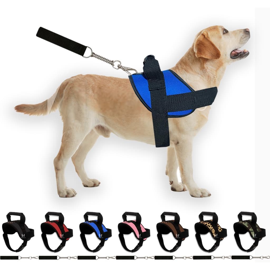 Peitoral Coleira Com Guia Cão Cachorro Com Regulagem
