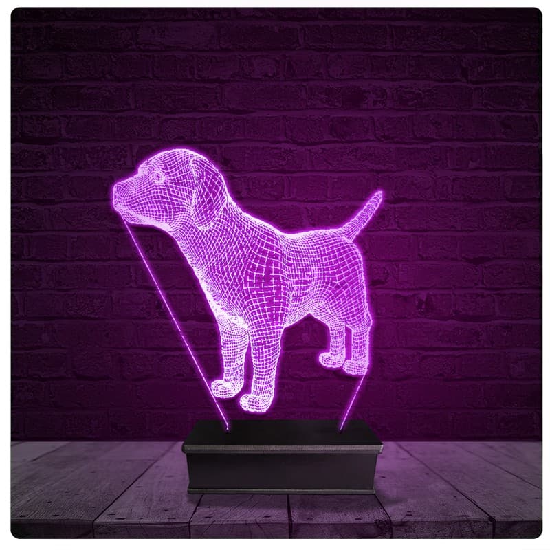 Luminária e Abajur Acrílico Led - Cachorro Dog Pet