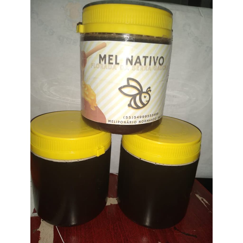 Mel Puro De Abelhas Europa - Balde 5 Kg - Várias Floradas