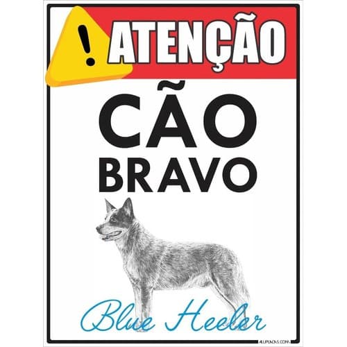 Placa Decorativa Blue Heeler Atenção Cão Bravo 30x20cm