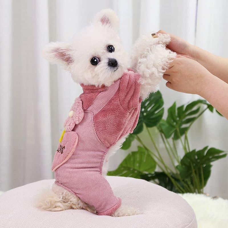 Pet Roupa Do Cão De Pelúcia Para O Pequeno Menina Filhote De Cachorro Confortável Roupas Schnauzer Fêmea Bonito roupa de cachorro inverno