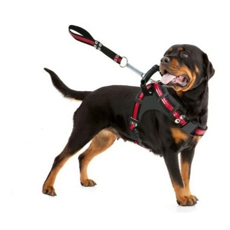 Peitoral de Cachorro Guia de Cão Forte Rottweiler - Pastor na Cor Vermelha Peitoral de Qualidade