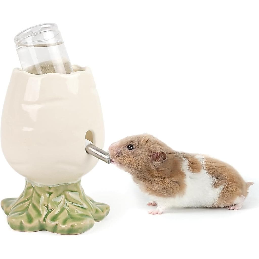 Hamster Water Bottle for Glass Tank, Carrot Ceramic Stand Holder with 80ML Bottle, Chew Proof Gerbil Water Dispenser for