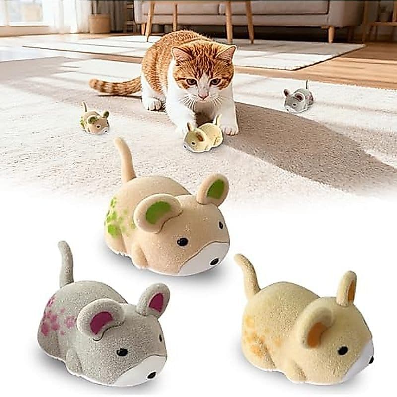 OHGOSH Hamster Teaser Que Esgota , Jogo De Mouse Para Captura De Gatos , Brinquedo Interativo Ferramentas Interativas Pe