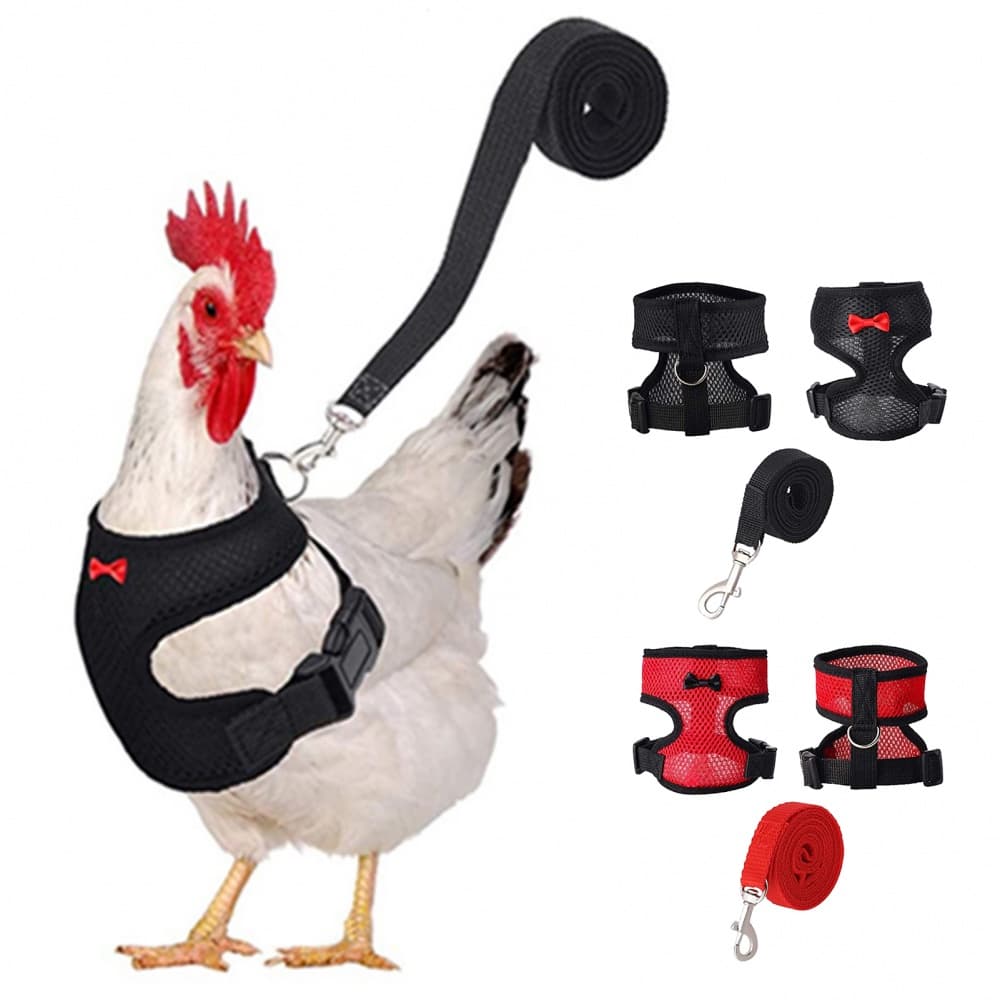 Arreios Ajustáveis De Frango Com Trela Colete Confortável E Respirável Para Animais De Estimação De Tração Galinha De Pato