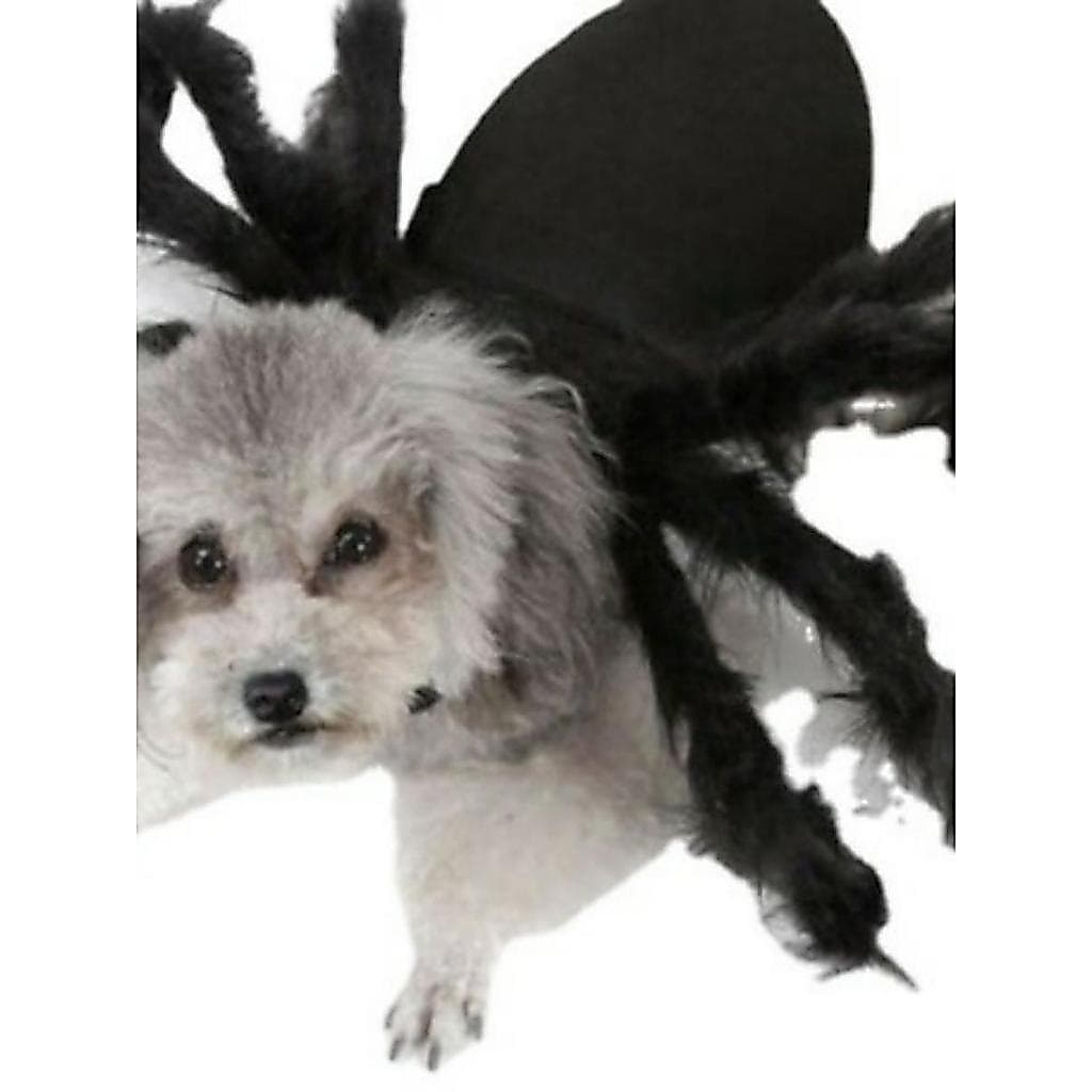 Gato aranha roupas Pet aranha roupas filhote de cachorro gato Horror simulação pelúcia aranha transformação roupas festa