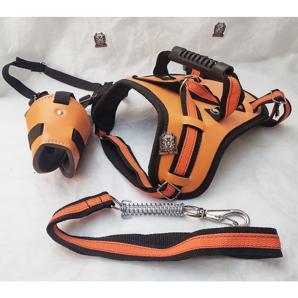 Peitoral para cachorros com focinheira e guia com mola e mosquetão kit completo dog pitbull