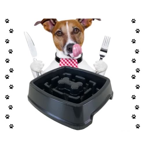 Comedouro Educativo Lento Interativo Pet 650ml para Cachorro Cães e Gatos