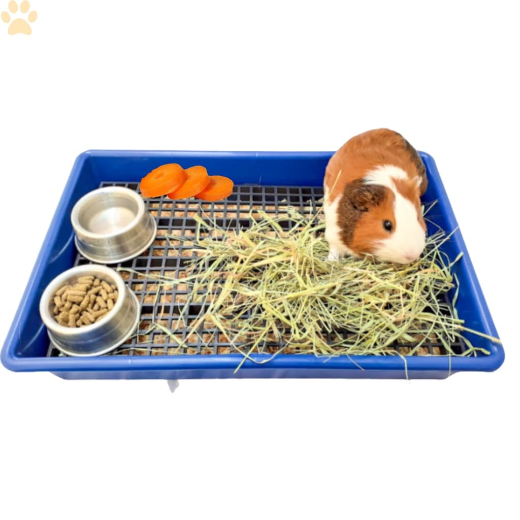 Bandeja Para Porquinho Da Índia Coelho Com Grade Plastica