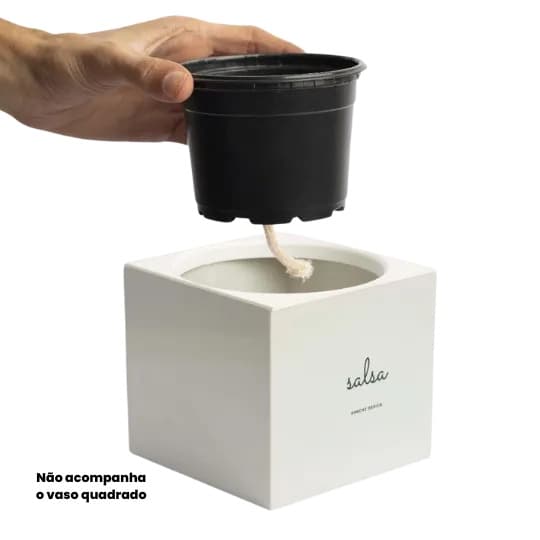 Kit Auto irrigavel Para Vaso Quadrado Tampa + Vasinho