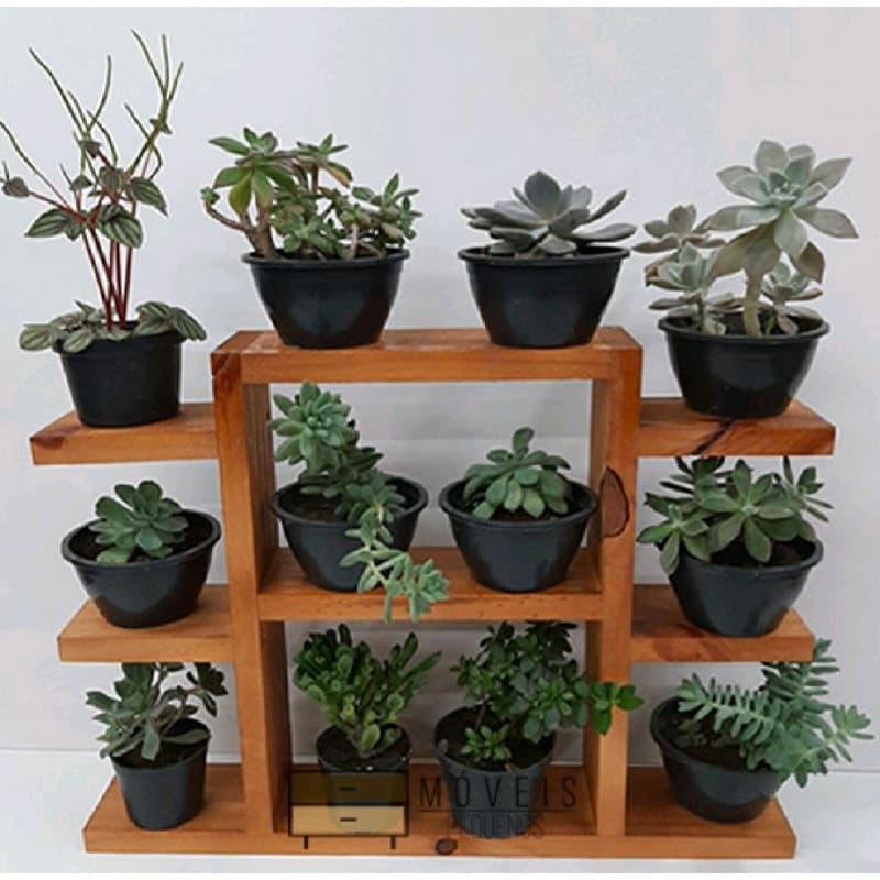 suporte pra suculenta prateleira plantas
